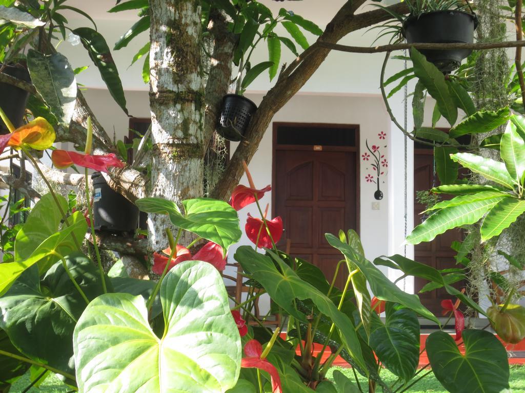Jungle Holiday Home Хикадува Екстериор снимка