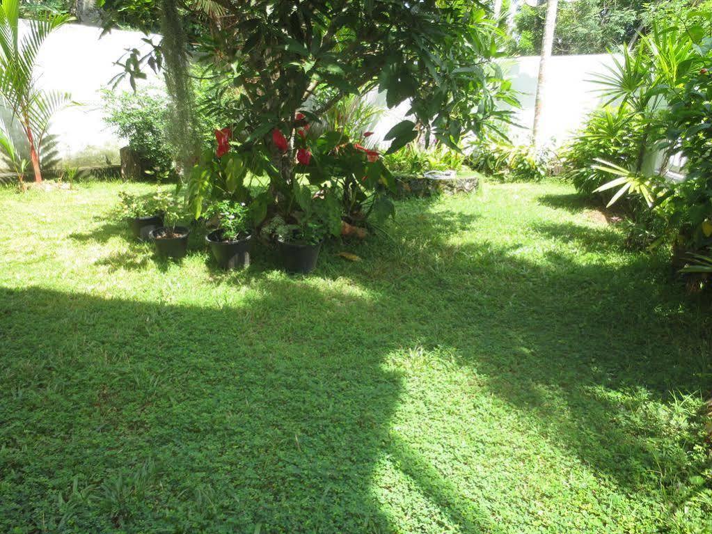 Jungle Holiday Home Хикадува Екстериор снимка